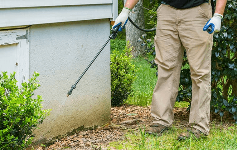 Termite Control